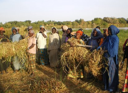 Environmental Resilience as Stabilisation in Central Mali